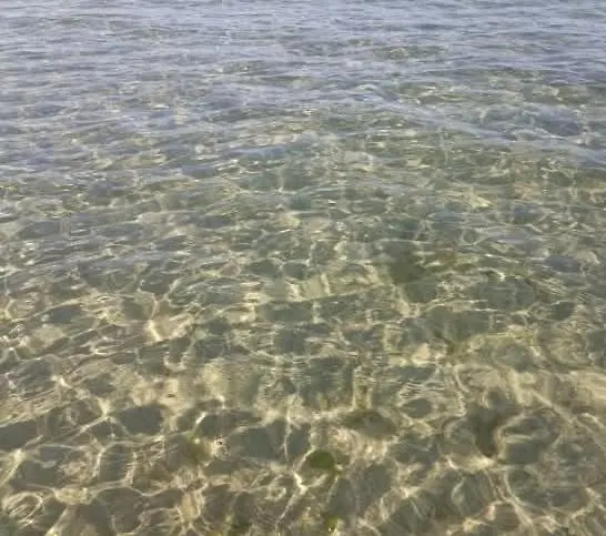 Appartamento Casa Al Mare Teresa Porto SantʼElpidio